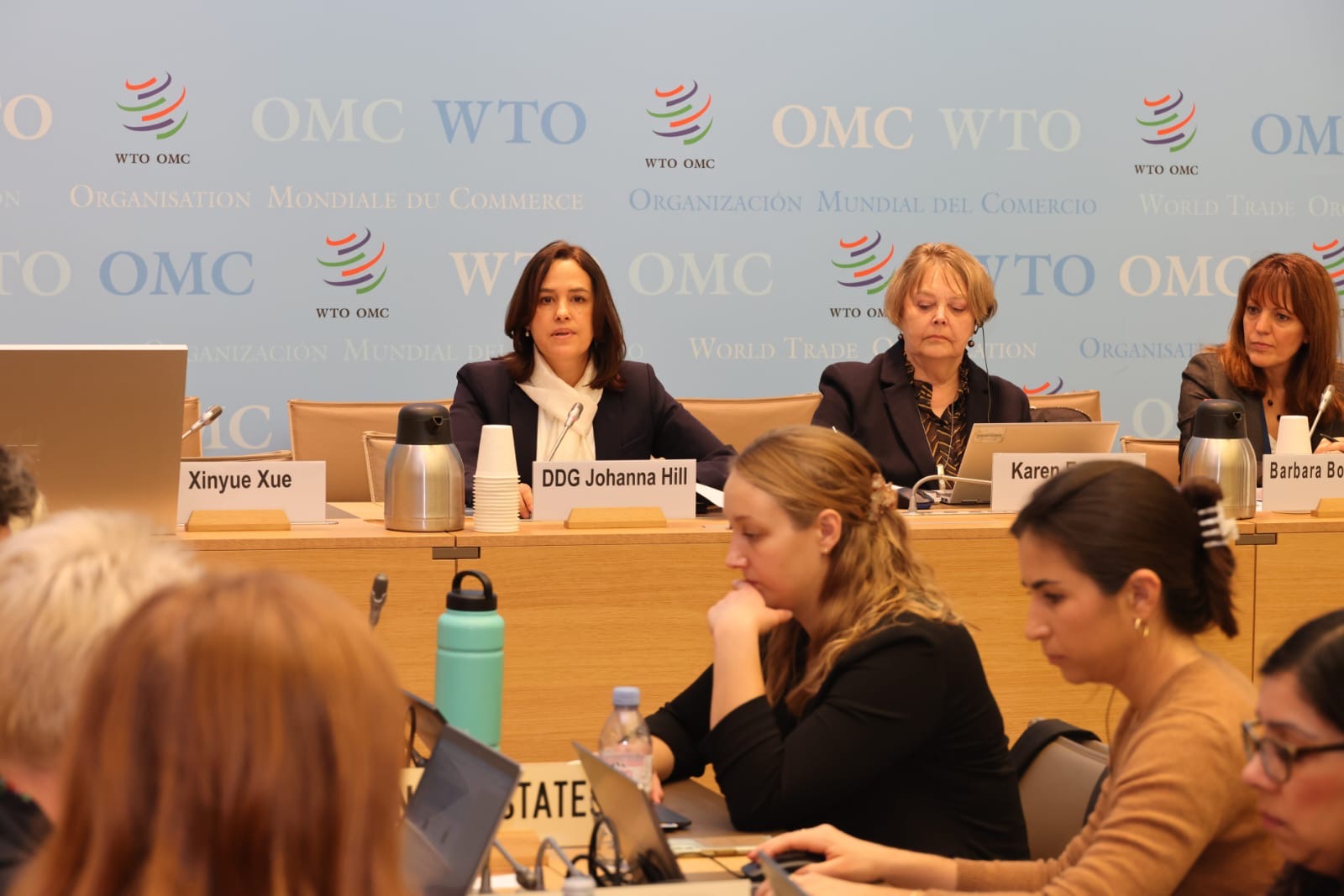 EU4PFM Public Procurement Expert participates in WTO workshop on the role of digital innovation in supporting trade and competition in public procurement